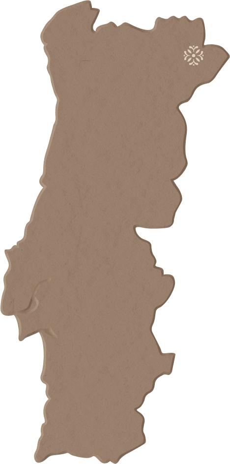 Portugal Textured Map